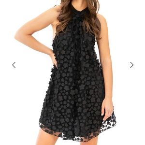 Eva Franco Black Petal Halter Dress perfect for a night out or a wedding.